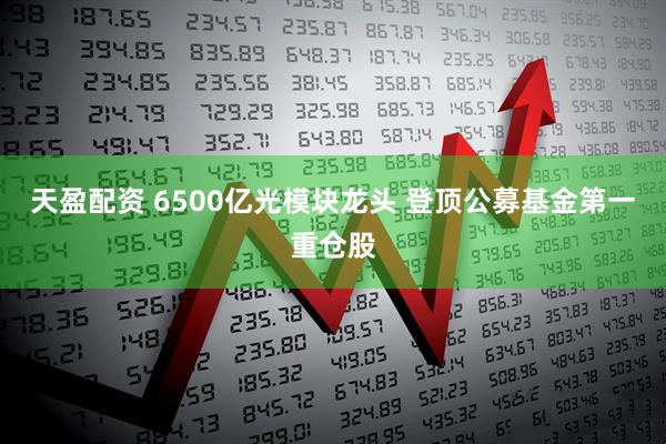 天盈配资 6500亿光模块龙头 登顶公募基金第一重仓股