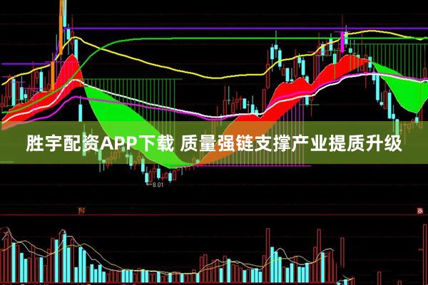 胜宇配资APP下载 质量强链支撑产业提质升级